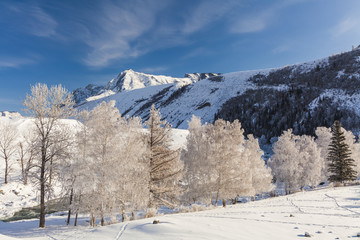 Picturesque snowy landscape with frosted trees in the mountains