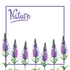 Painted wildflower flowers invitation card in a watercolor style