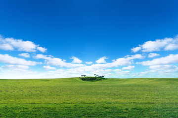 Fototapeta na wymiar Green field with sun and blue sky with clouds