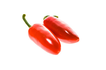 Red ripe jalapeno chili hot pepper from caribbean or mexico