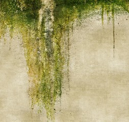 Grunge wall with dripping moss