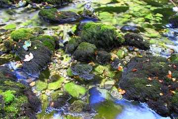 Rocks and pure water in Kamacnik river, Croatia © Simun Ascic