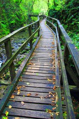 Wooden path in Kamacnik canyon, Gorski kotar area in Croatia