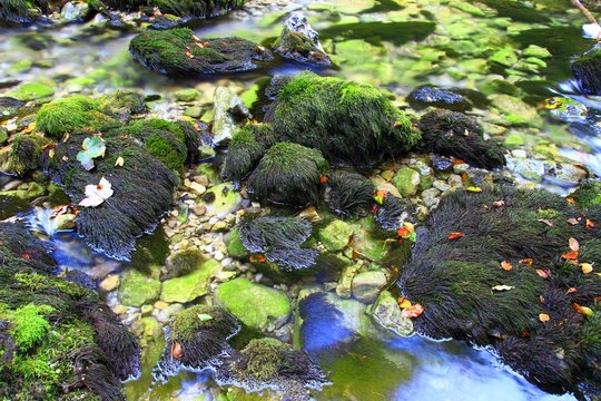 Rocks and pure water in Kamacnik river, Croatia