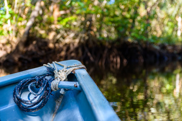 Small blue boat in the mangrove