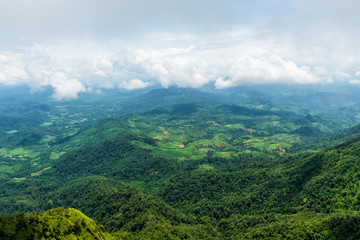 Aerial view of agricultural area in mountain valley landscape in rain forest