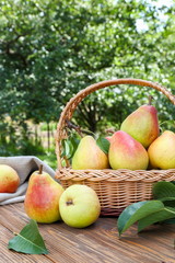 Ripe pears on a wooden table in the garden