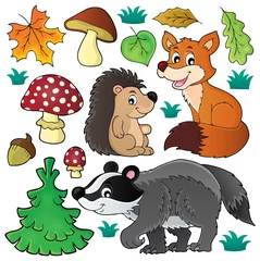 Cercles muraux Pour enfants Forest wildlife theme set 1