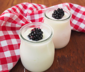 Healthy breakfast yogurt with blueberry 