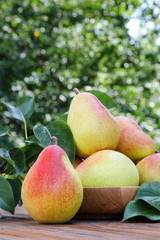 Ripe pears on a wooden table in the garden