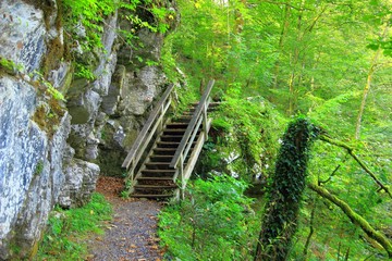 Obraz premium Wooden stairs on walking path 