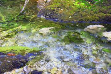 Pure river water