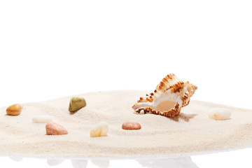 Seashell and sea stones on pile of beach sand
