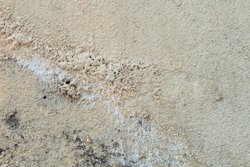 Wall with peeling paint