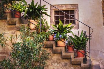 Fototapeta na wymiar Old stairs and plants in the Italian city of Viterbo.