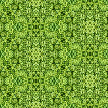 Abstract decorative plant background. Seamless pattern.