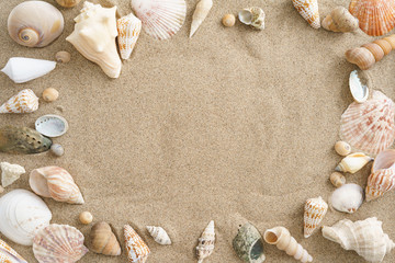 Collection of mussels in the sand with copyspace in the center © Elisabeth Cölfen