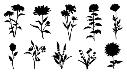 Obraz premium flower silhouettes
