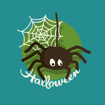 Spider Halloween illustration 