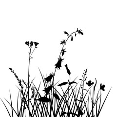 vector silhouettes of flowers and grass