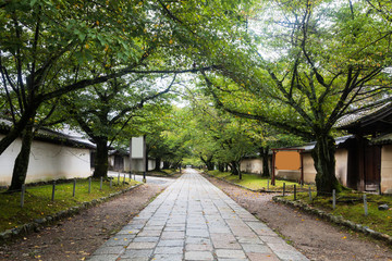 Holiday in Japan - Summer Autumn transit view of Diago-ji Temple, Kyoto, Japan 