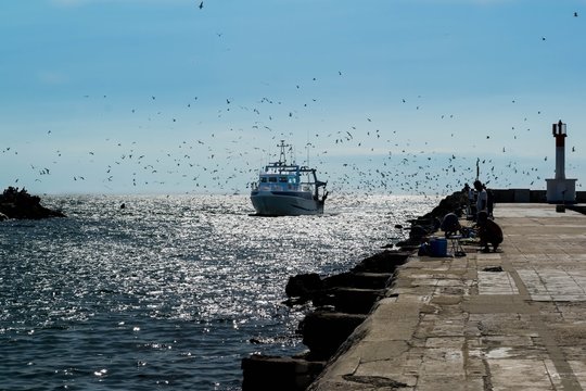 Fototapeta Bateaux de pêche rentrant au port.