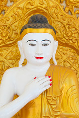 close up Myanmar Buddha white skin golden color.