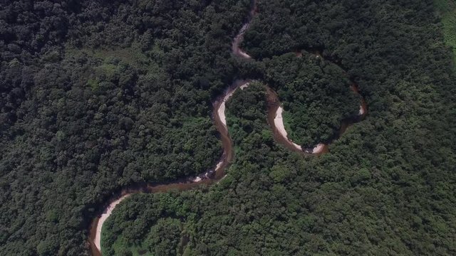 Aerial View of River in Rainforest, Brazil