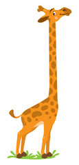 Naklejka premium Funny smiling Giraffe