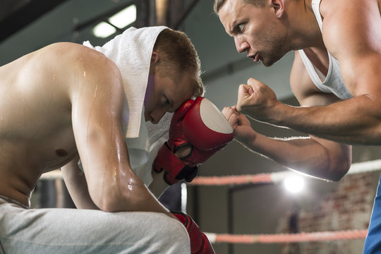 Instructor teaching boxer