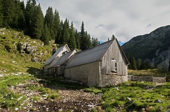 cattle farm in Planina Duplje near Krnsko jezero lake in Julian Alps in Slovenia