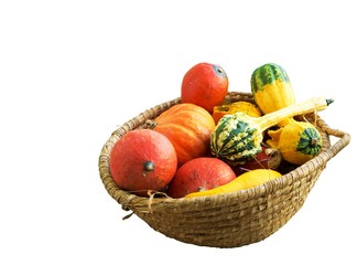 pumpkin in a basket isolated
