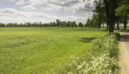 Weg, Wiese, Allee