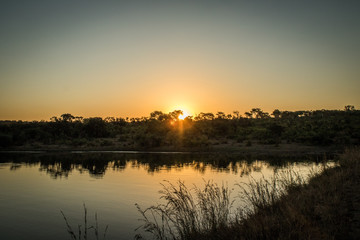 Obraz premium African sunset in the Kruger.