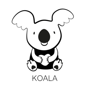 koala_animal_illustration