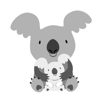 koala_animal_illustration