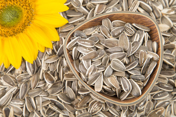 Sunflower seeds and flower