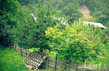 Fototapeta na wymiar Old wooden fence on green meadow, , nature , a beautiful mountain landscape, Karpaty, Ukraine