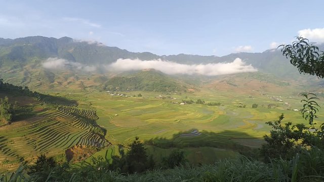 06/2016 - Tu Le Valley, Yen Bai, Vietnam
