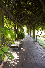 Empty benches on tunnel and shaped pergola in garden