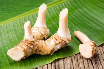 young galangal and cut off piece on banana leaf ( Alpinia galanga L. Willd., ZINGIBERACEAE )