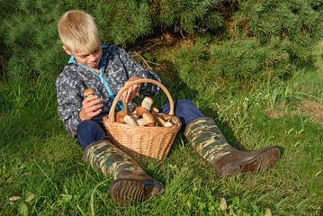 Cepes in a basket, Forest Mushroom