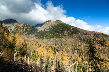 Tatra autumn season. View of forests and mountains.