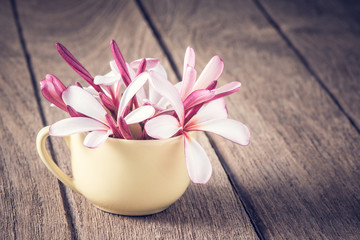 blooming and bud of plumeria flower in cup on old wood plank in vintage color tone ( Plumeria rubra L., Apocynaceae. )