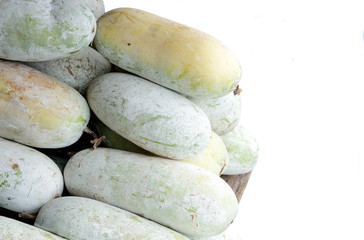 Winter melon