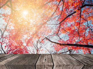 Naklejka na ściany i meble Blur vivid autumn natural background