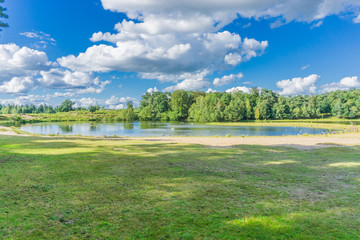 water pond forest landscape distance view