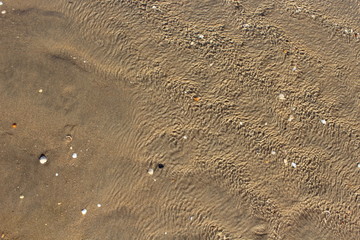 beach sand photo