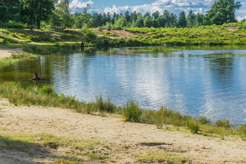 amazing beautiful water pond in a forest landscape with sandy track