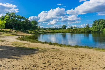 sandy walk way next to the lake in a forest landscape